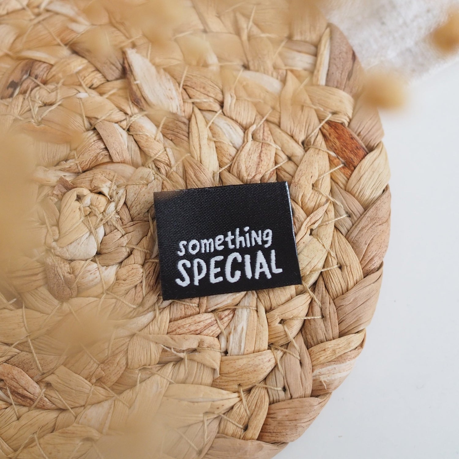 Klapp - Weblabel *something special* - Paul & Clara