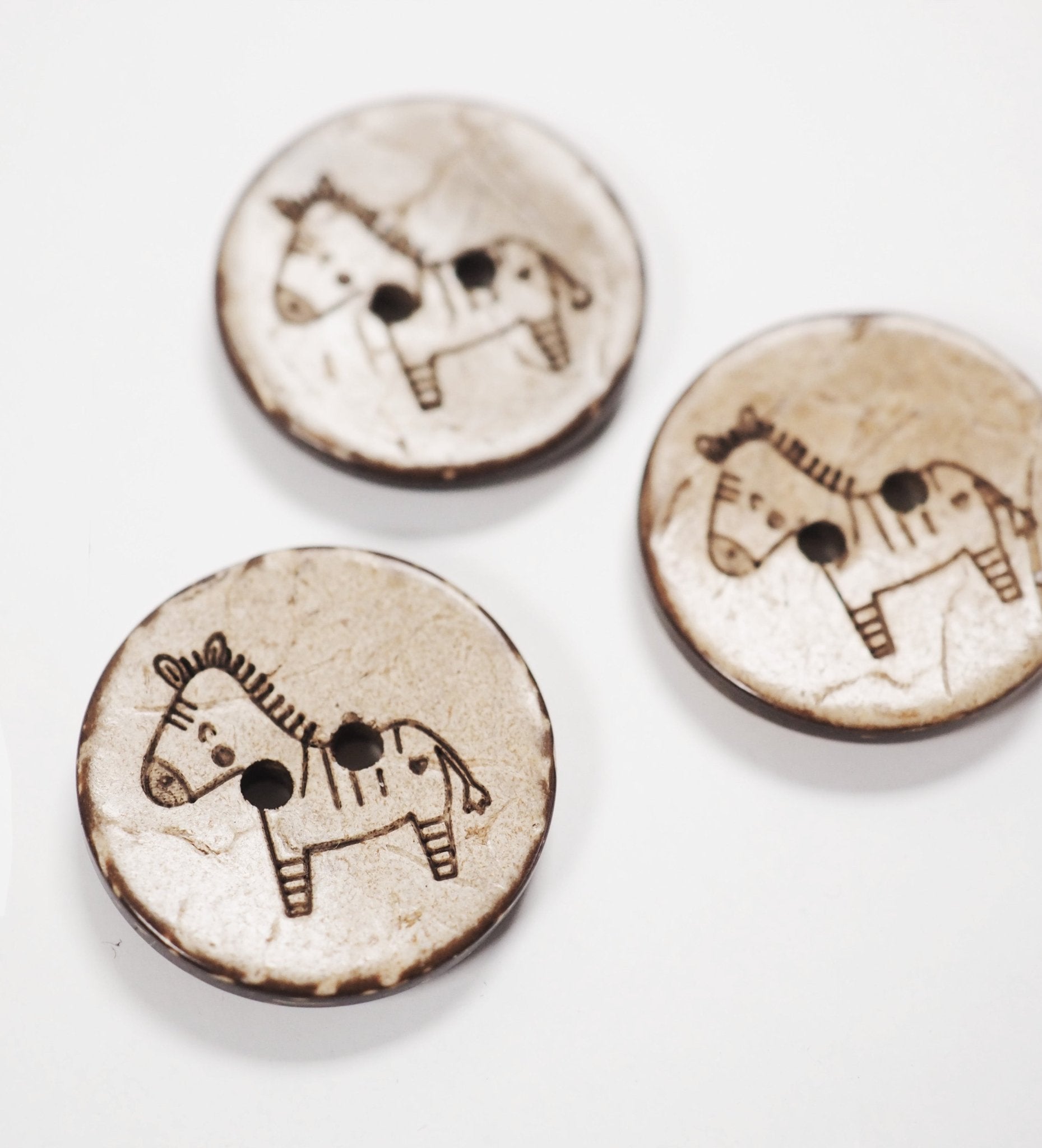 Kokosknöpfe *Zebra* 20 mm - 3 Stück - Paul & Clara