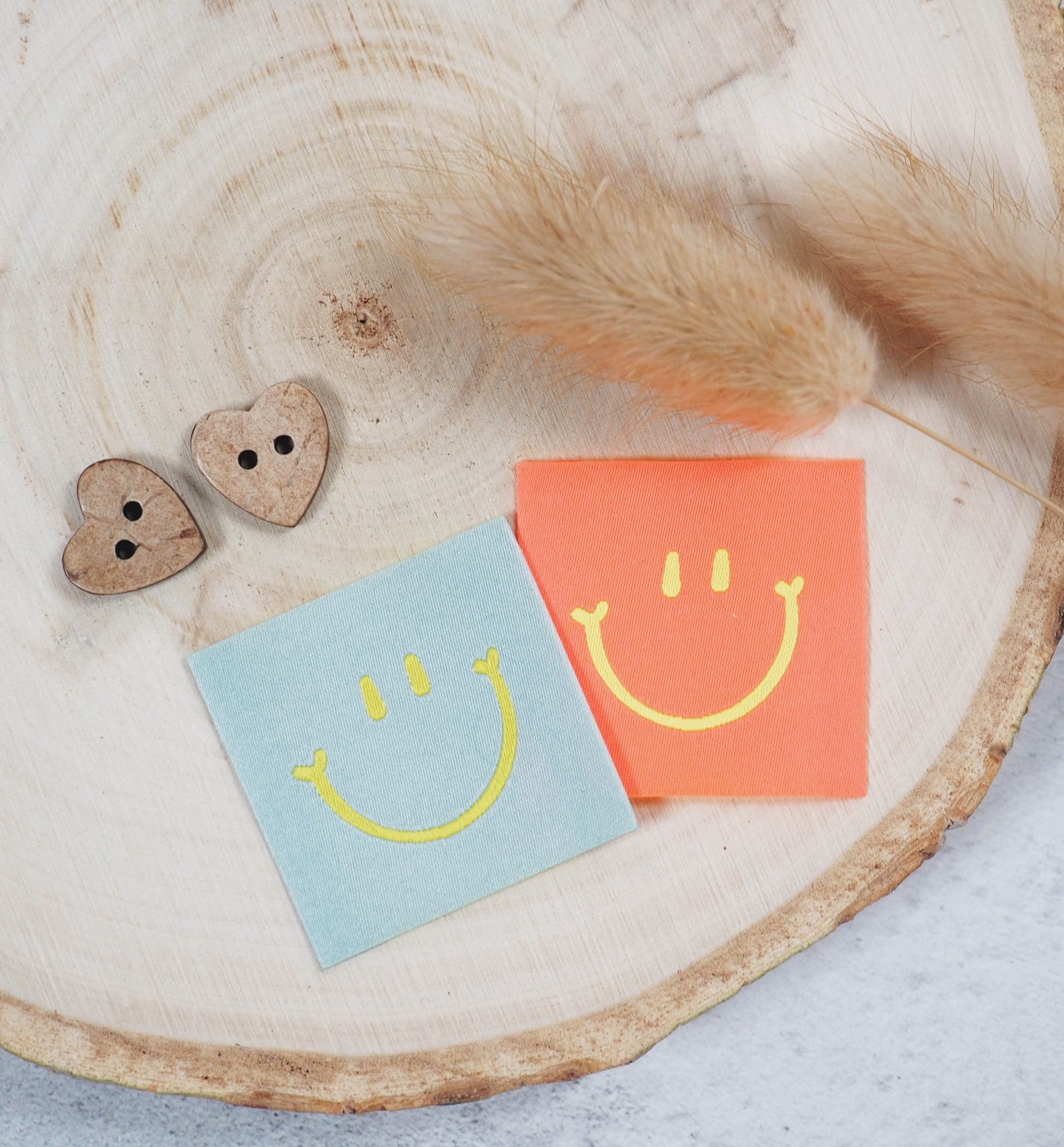 Weblabel *blue smile* - Paul & Clara