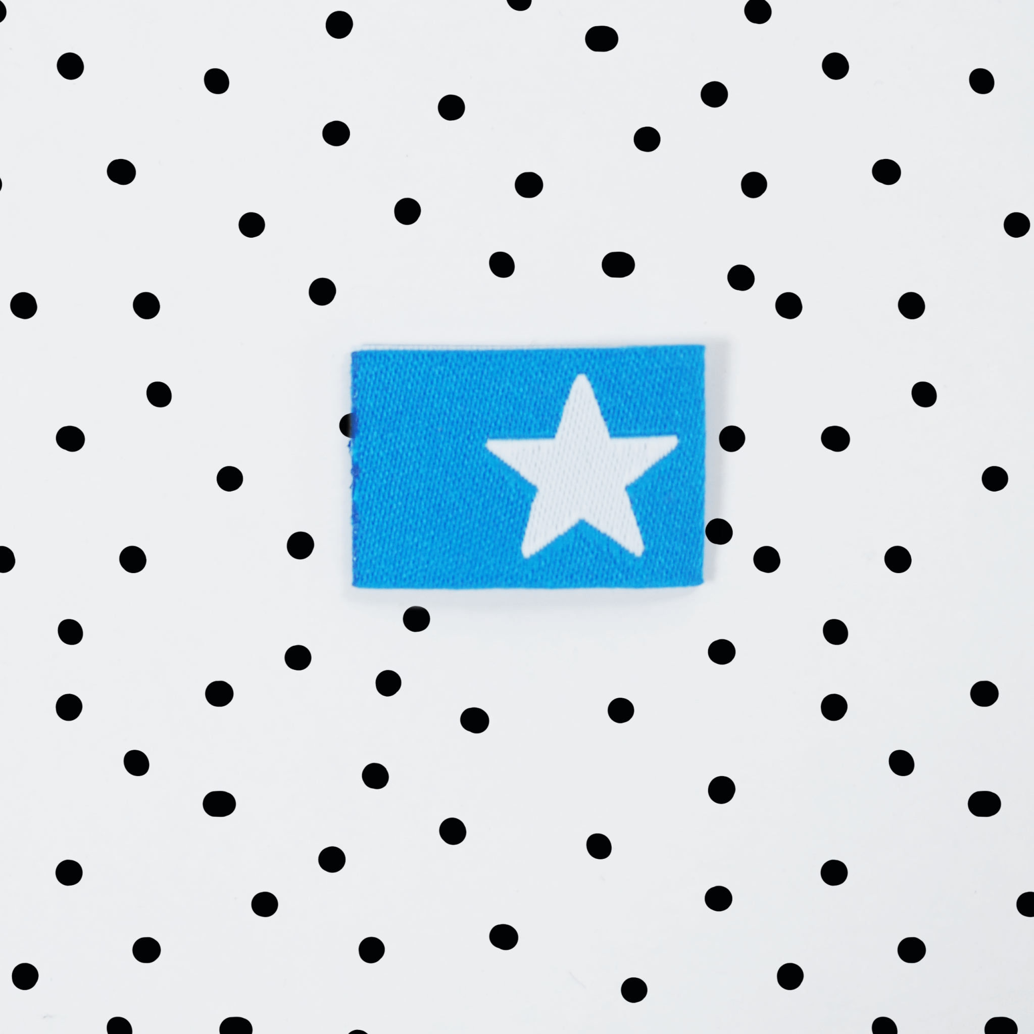 Weblabel * Stern - blau * - Paul & Clara