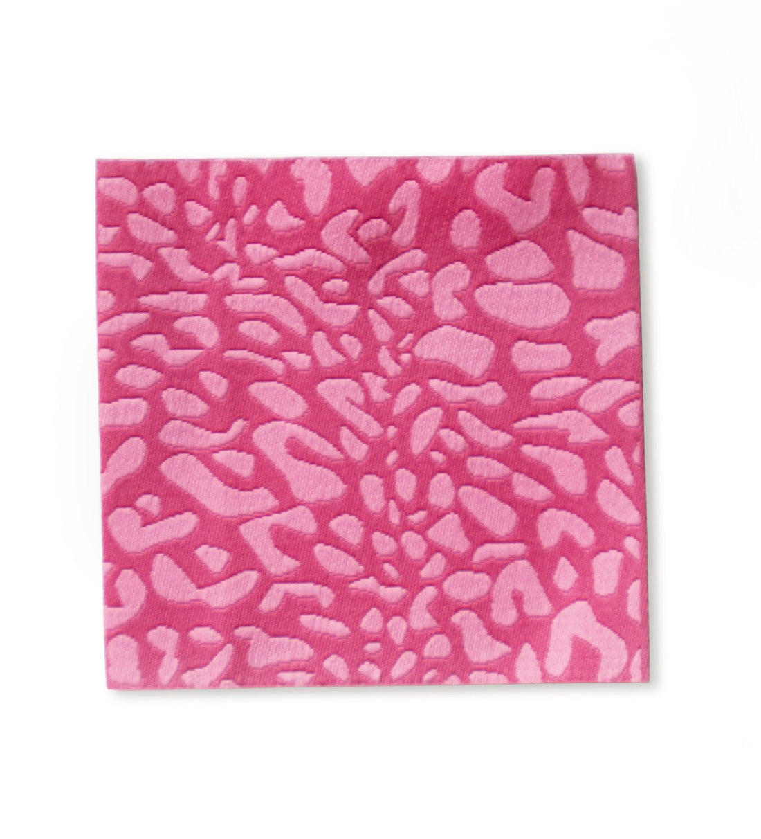 XXL - Weblabel - Leo *Pink* - Paul &amp; Clara