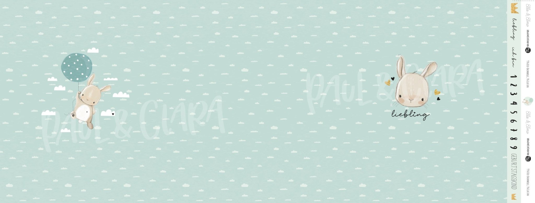 Geburtstags Ella - Panel Mint mit Glitzerherzchen - *Bio - Jersey* - Paul &amp; Clara